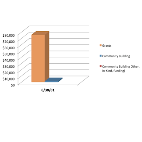 Grantmaking process and collaboration strategy