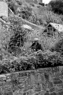 Amanda Thompson standing in a garden